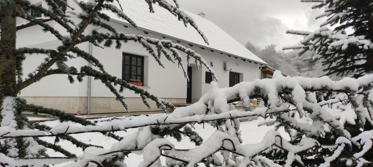 Gerecse Vendeghaz Otel Sutto Dış mekan fotoğraf