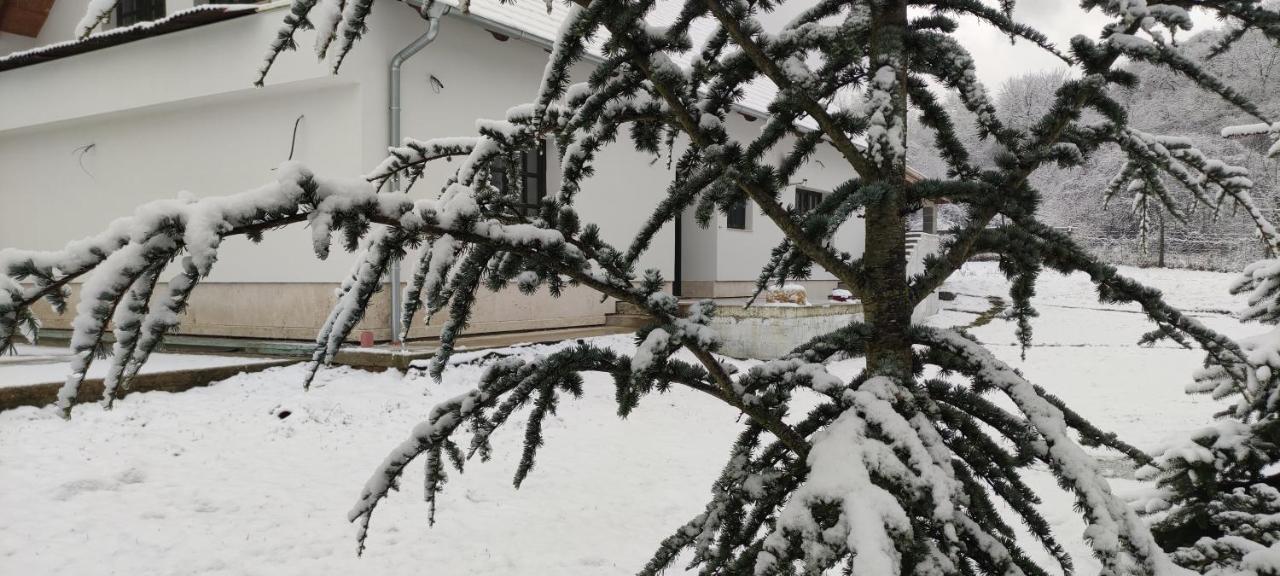 Gerecse Vendeghaz Otel Sutto Dış mekan fotoğraf